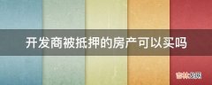 开发商被抵押的房产可以买吗?