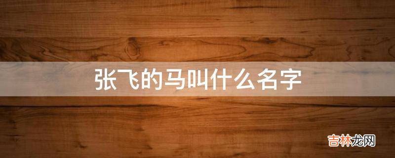 张飞的马叫什么名字