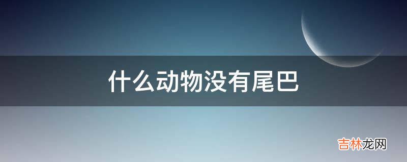 什么动物没有尾巴