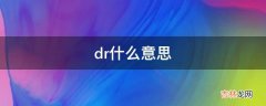 dr什么意思