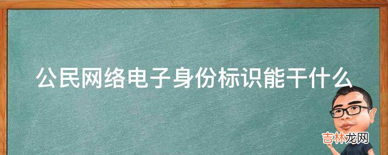 公民网络电子身份标识能干什么