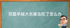 双面羊绒大衣被虫吃了怎么办