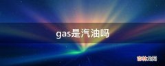 gas是汽油吗