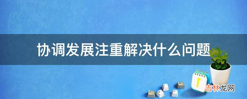 协调发展注重解决什么问题