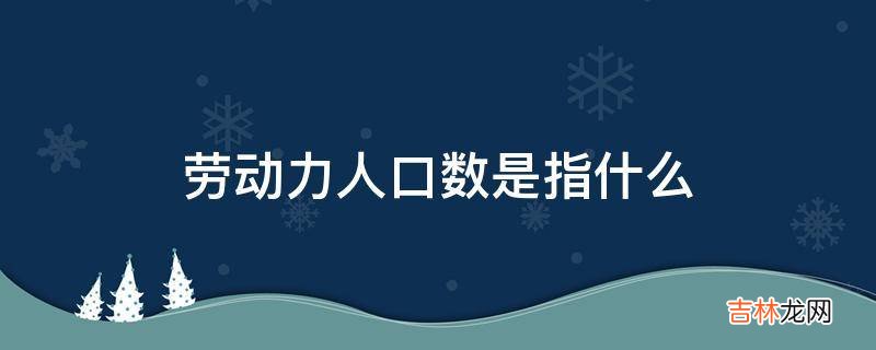 劳动力人口数是指什么