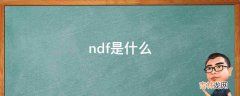 ndf是什么