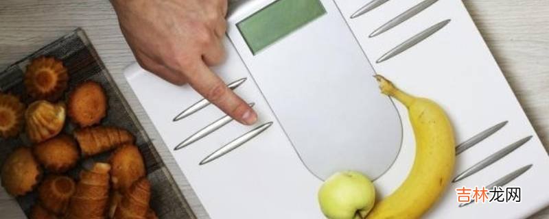16+8断食法