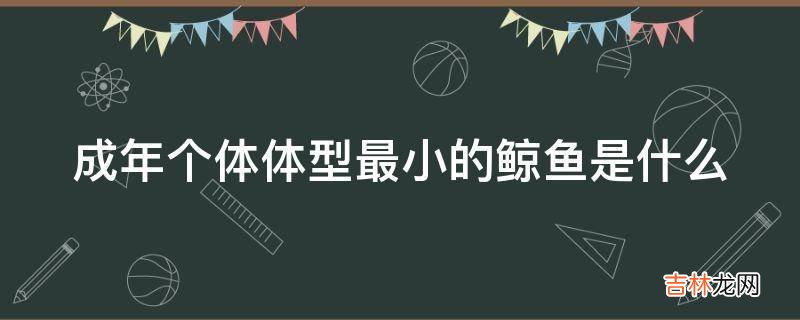 成年个体体型最小的鲸鱼是什么