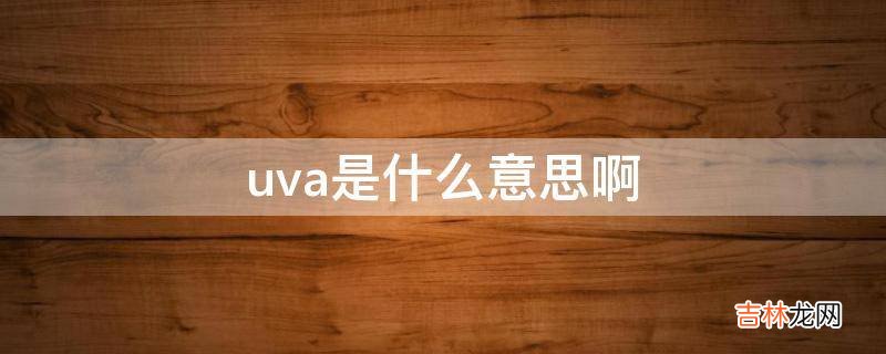 uva是什么意思啊