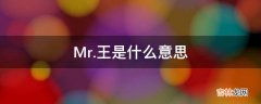 Mr.王是什么意思