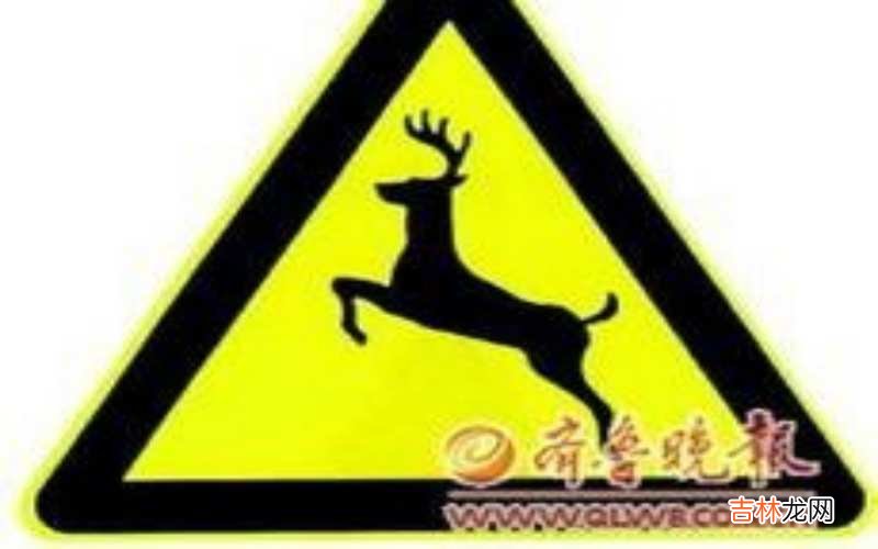 注意野生動物標志是什麽