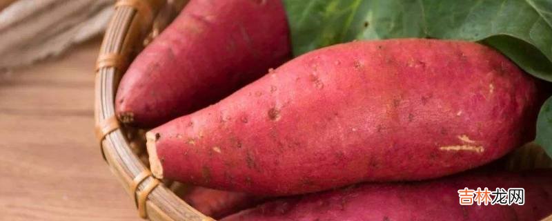 微波炉烤红薯用锡纸吗