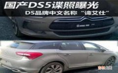 DS汽车品牌中文名称是什么