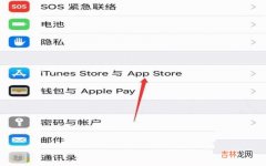 iPhone禁止APP自动更新方法 苹果手机自动更新软件怎么关闭