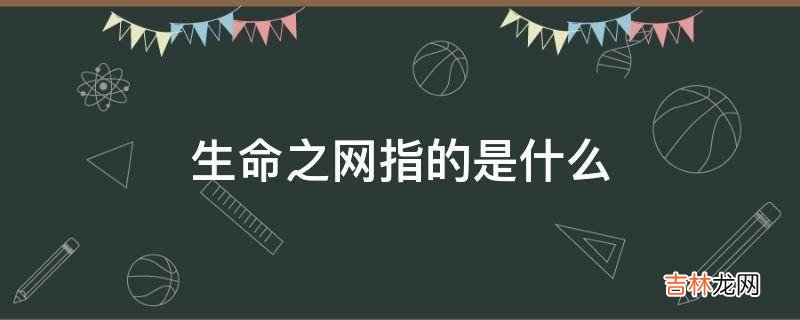 生命之网指的是什么