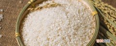清朝一石米是多少斤