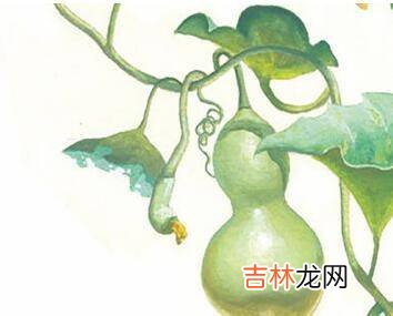 葫芦没成熟摘下来怎么保存