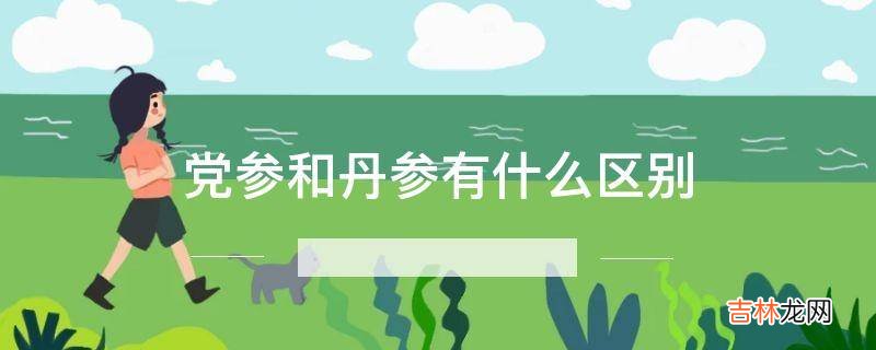 党参和丹参有什么区别