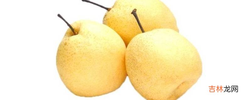 冰糖雪梨梨子要不要削皮