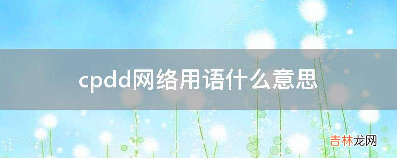 cpdd网络用语什么意思