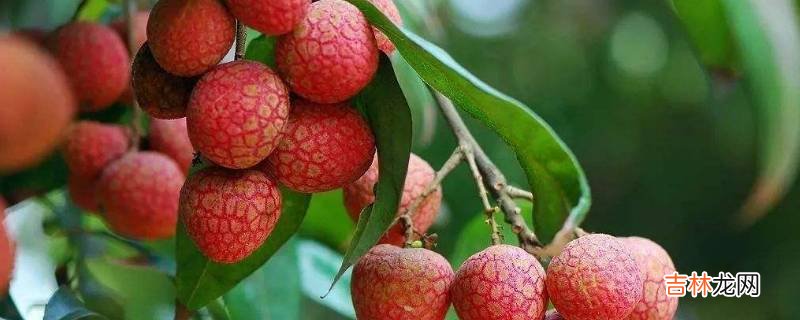 荔枝外壳变黑还能吃吗