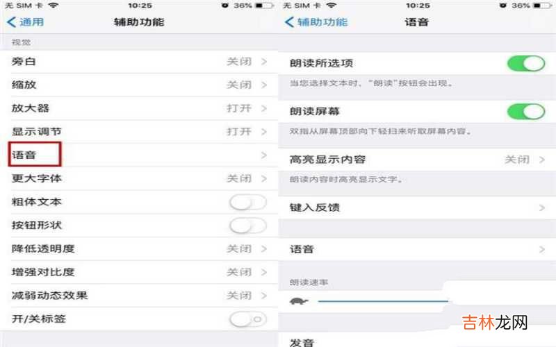 iPhone手机的一键朗读 苹果手机如何使用朗读功能