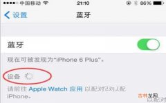 iPhone手机蓝牙设备的开启教程 苹果手机6蓝牙怎么用不了