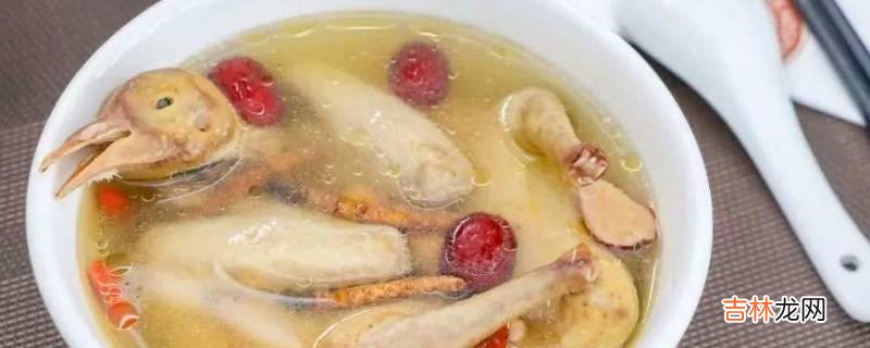 鴿子湯能放胡蘿蔔嗎