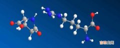氨基酸是什么