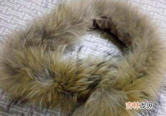 狐狸毛領怎麽清洗