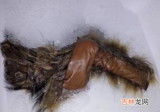 狐狸毛領怎麽清洗