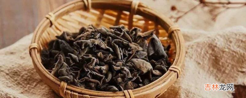 秋耳是木耳吗