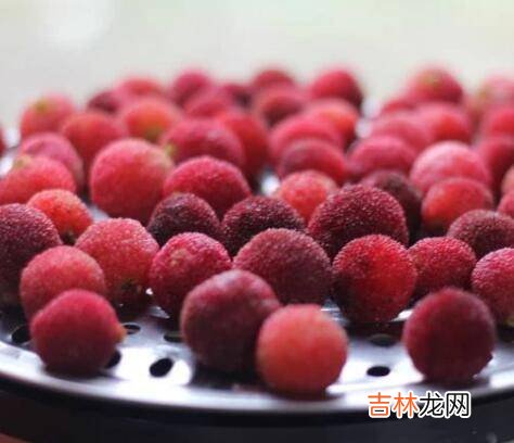 自己泡杨梅酒的方法