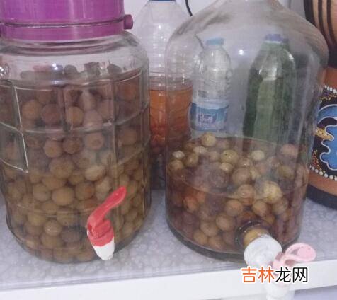橄榄酒的泡制方法
