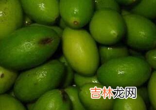 橄榄酒的泡制方法