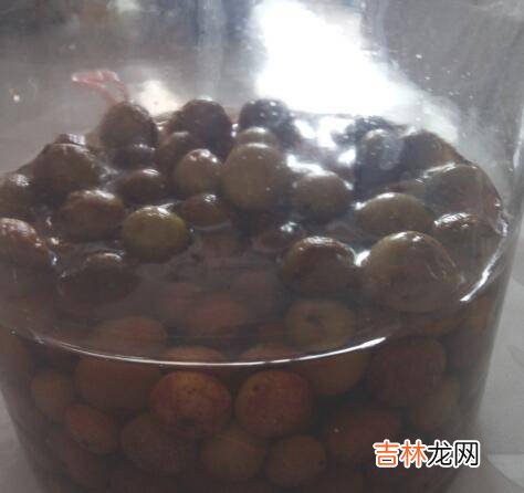 橄榄酒的泡制方法