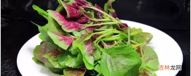 苋菜可以生吃吗