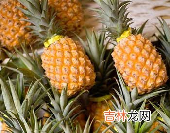 手撕菠萝的吃法