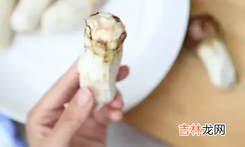 松茸怎么处理