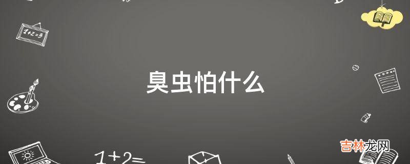 臭虫怕什么