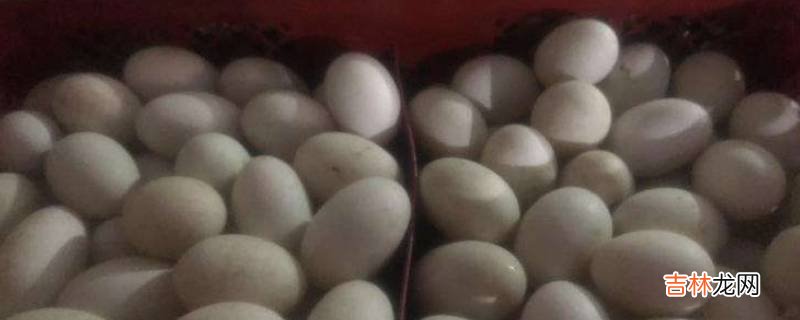 樱桃谷蛋是什么蛋