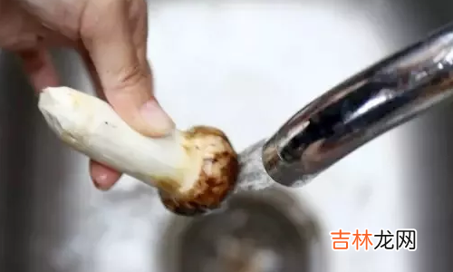 松茸怎么清洗才算干净