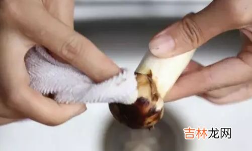 松茸怎么清洗才算干净