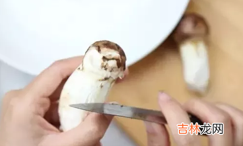 松茸怎么清洗才算干净
