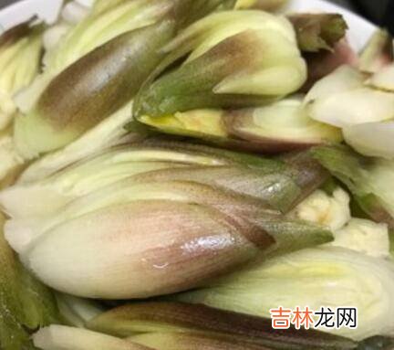 阳菏怎么炒