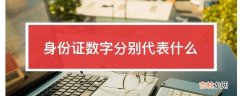 身份证数字分别代表什么