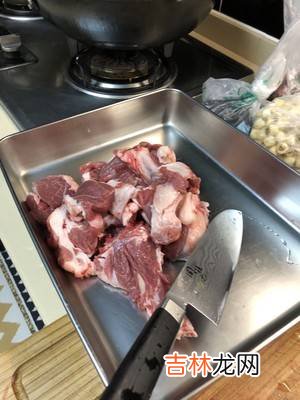 藏书羊肉做法