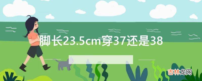 脚长23.5cm穿37还是38