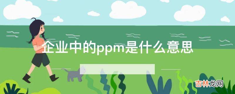 企业中的ppm是什么意思