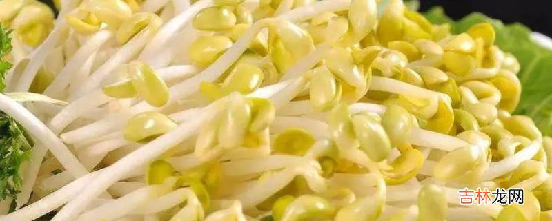 夏天发黄豆芽要注意什么